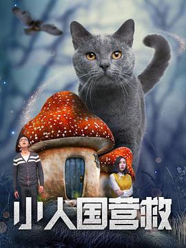 好看的av在线不卡观看