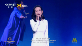 我的团长我的团48集免费观看